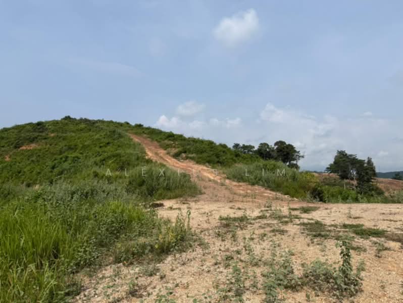 Tanah Pertanian untuk Dijual di Linggi (Negeri Sembilan) - Alexius Lim - Exterior - PropertyGuru.com.my