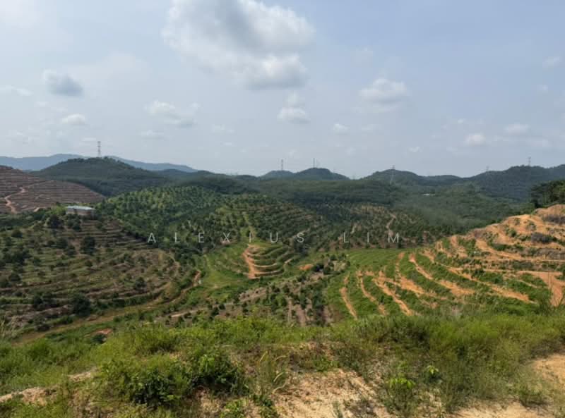Tanah Pertanian untuk Dijual di Linggi (Negeri Sembilan) - Alexius Lim - Exterior - PropertyGuru.com.my