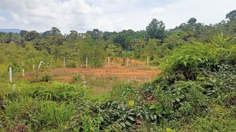 Others for Sale in Kampung Desa Makmur (Johor Bahru) - Arif MS - Garden - PropertyGuru.com.my