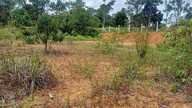 Others for Sale in Kampung Desa Makmur (Johor Bahru) - Arif MS - Exterior - PropertyGuru.com.my