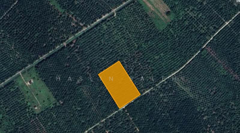 Agricultural Land for Sale in Sitiawan (Perak) - Haslin Saleh - PropertyGuru.com.my