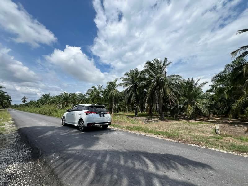 Agricultural Land for Sale in Sitiawan (Perak) - Haslin Saleh - Exterior - PropertyGuru.com.my