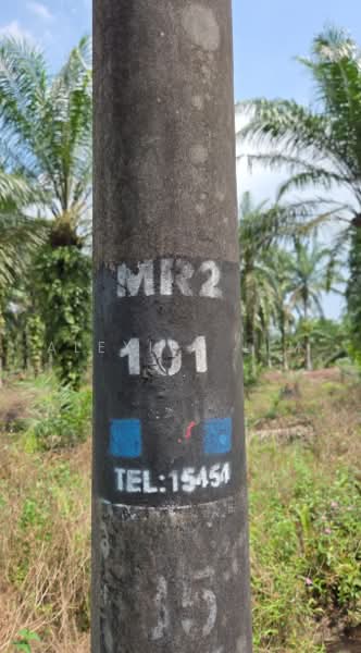 Tanah Pertanian untuk Dijual di Pekan Nanas (Johor) - Alexius Lim - PropertyGuru.com.my