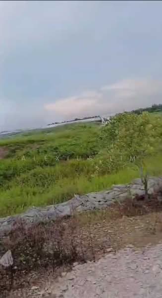 Agricultural Land for Sale in Pekan Nenas (Johor) - Alexius Lim - Exterior - PropertyGuru.com.my