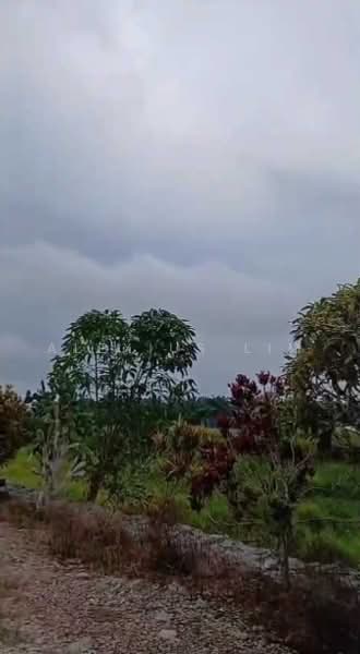 Agricultural Land for Sale in Pekan Nenas (Johor) - Alexius Lim - Exterior - PropertyGuru.com.my