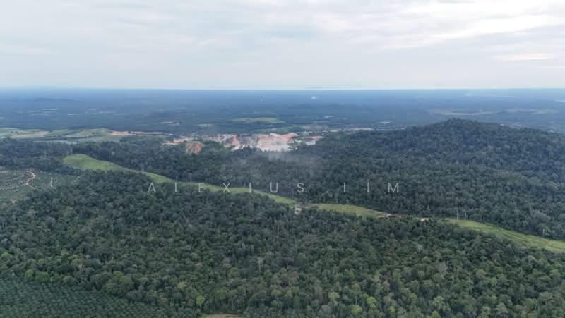 Tanah Pertanian untuk Dijual di Sedenak (Johor) - Alexius Lim - Exterior - PropertyGuru.com.my