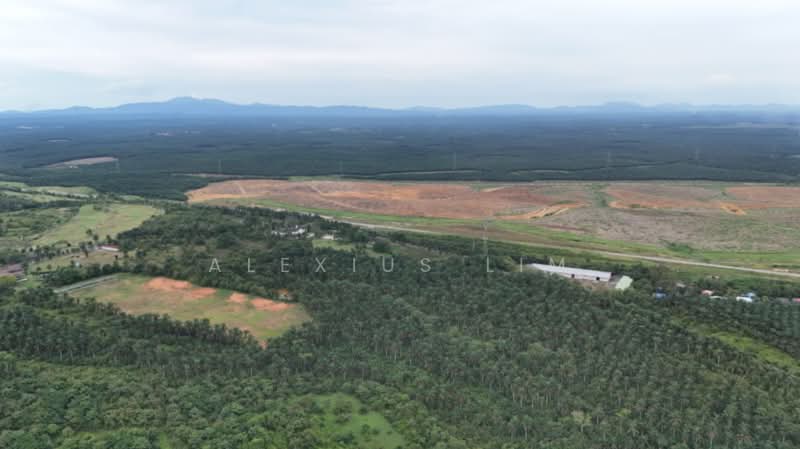 Tanah Pertanian untuk Dijual di Sedenak (Johor) - Alexius Lim - Exterior - PropertyGuru.com.my