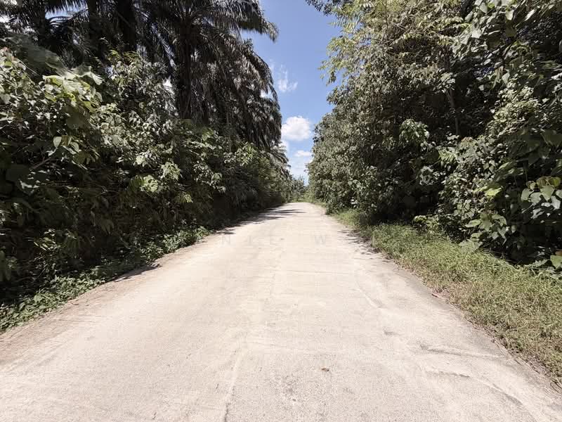 Industrial Land for Sale in Kampung Sungai Lalang (Semenyih) - Janie Wai - PropertyGuru.com.my