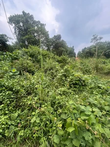 Agricultural Land for Sale in Iskandar Puteri (Nusajaya) (Johor) - Wendy Gan - PropertyGuru.com.my