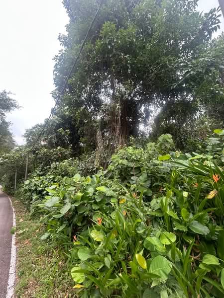 Agricultural Land for Sale in Iskandar Puteri (Nusajaya) (Johor) - Wendy Gan - PropertyGuru.com.my