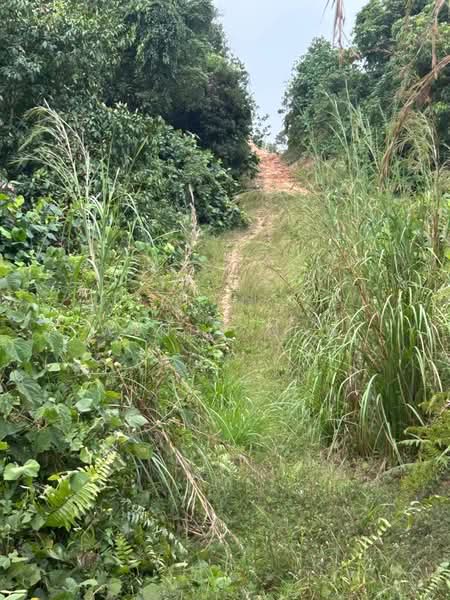Agricultural Land for Sale in Iskandar Puteri (Nusajaya) (Johor) - Wendy Gan - PropertyGuru.com.my