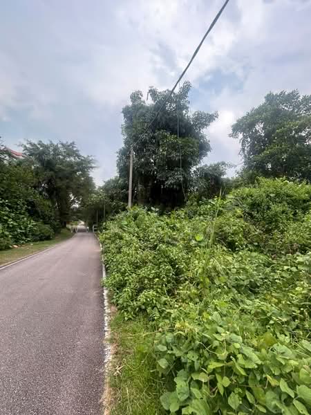 Agricultural Land for Sale in Iskandar Puteri (Nusajaya) (Johor) - Wendy Gan - PropertyGuru.com.my