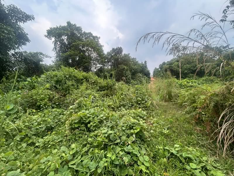 Agricultural Land for Sale in Iskandar Puteri (Nusajaya) (Johor) - Wendy Gan - PropertyGuru.com.my