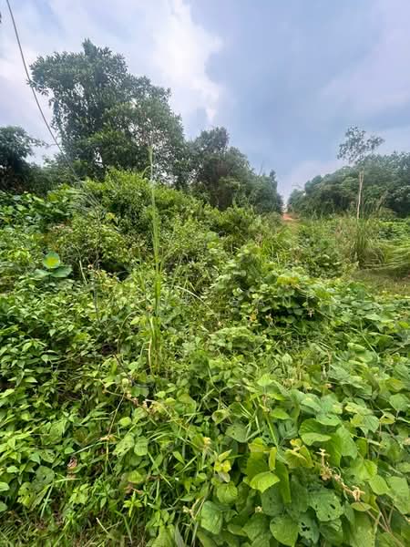 Agricultural Land for Sale in Iskandar Puteri (Nusajaya) (Johor) - Jade Gan - Exterior - PropertyGuru.com.my