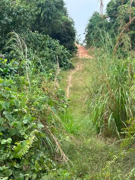 Agricultural Land for Sale in Iskandar Puteri (Nusajaya) (Johor) - Jade Gan - Exterior - PropertyGuru.com.my