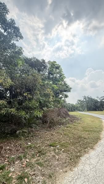 Agricultural Land for Sale in Kampung Ulu Pulai (Pekan Nanas) - Wendy Gan - PropertyGuru.com.my