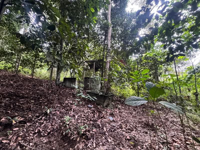 Agricultural Land for Sale in Ulu Yam (Selangor) - NUZULHAKIMI . - PropertyGuru.com.my