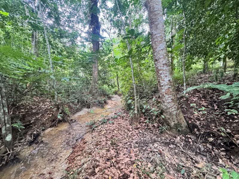Agricultural Land for Sale in Ulu Yam (Selangor) - NUZULHAKIMI . - PropertyGuru.com.my