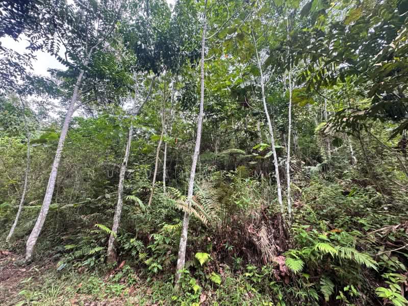Agricultural Land for Sale in Ulu Yam (Selangor) - NUZULHAKIMI . - PropertyGuru.com.my