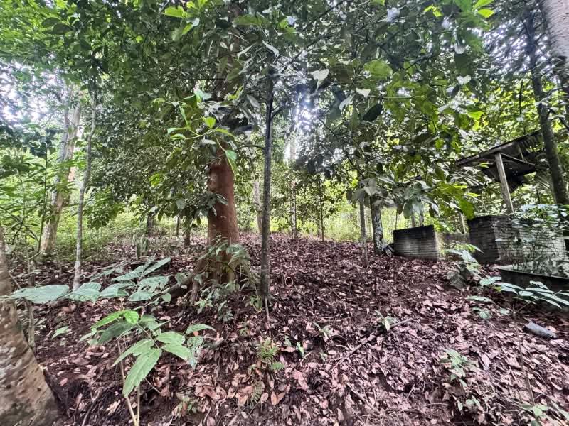 Agricultural Land for Sale in Ulu Yam (Selangor) - NUZULHAKIMI . - PropertyGuru.com.my