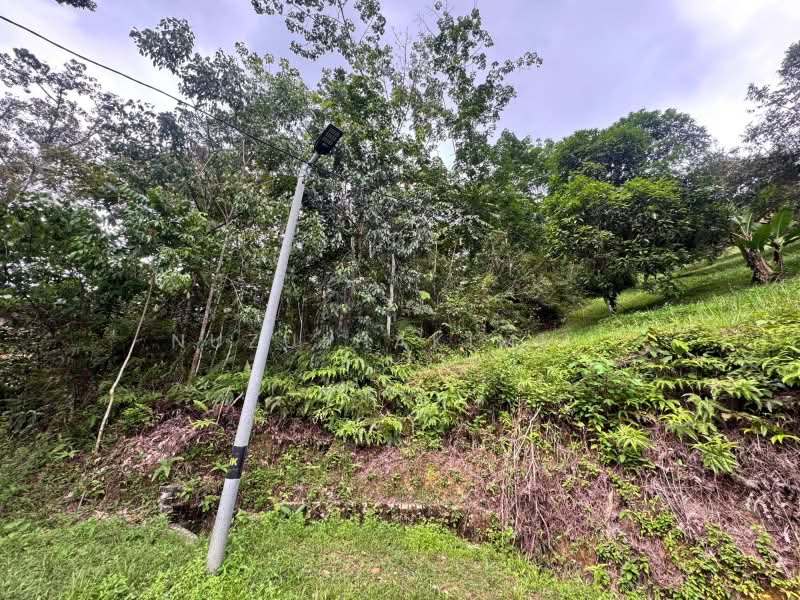 Agricultural Land for Sale in Ulu Yam (Selangor) - NUZULHAKIMI . - PropertyGuru.com.my
