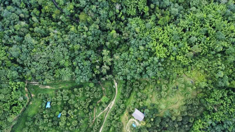 Agricultural Land for Sale in Ulu Yam (Selangor) - NUZULHAKIMI . - PropertyGuru.com.my
