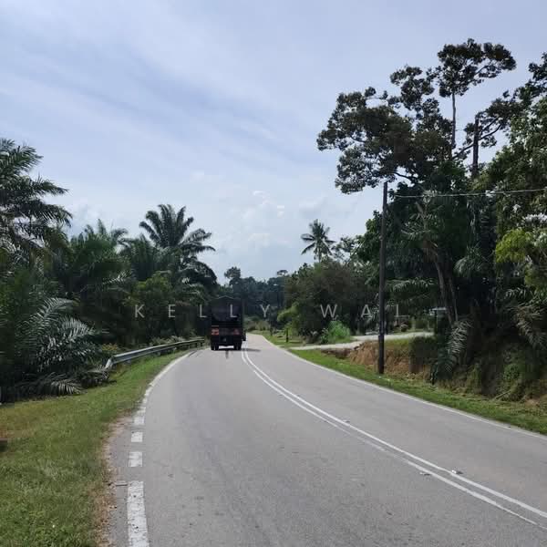 Agricultural Land for Sale in Pekan Nanas (Johor) - Kelly Wai - Exterior - PropertyGuru.com.my