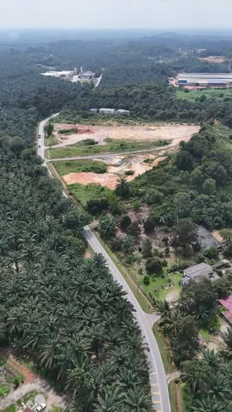 Agricultural Land for Sale in Pekan Nanas (Johor) - Kelly Wai - Exterior - PropertyGuru.com.my