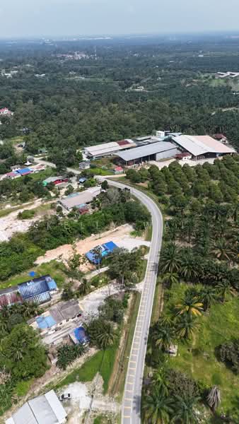Agricultural Land for Sale in Pekan Nanas (Johor) - Kelly Wai - Exterior - PropertyGuru.com.my