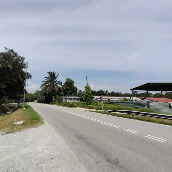 Agricultural Land for Sale in Pekan Nanas (Johor) - Kelly Wai - Exterior - PropertyGuru.com.my