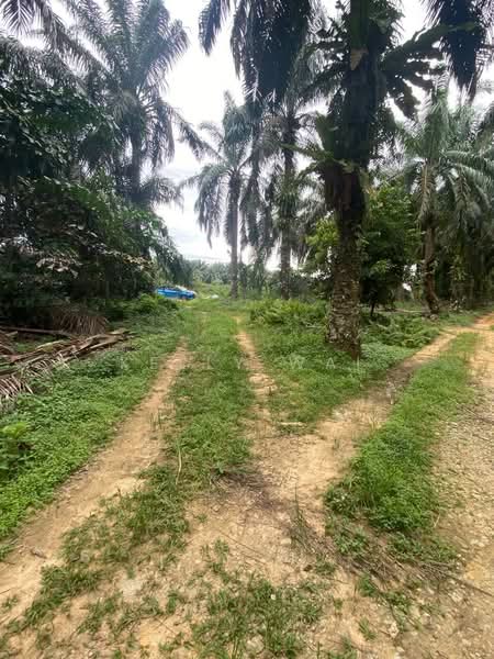 Tanah Perindustrian untuk Dijual di Senai (Johor) - Kelly Wai - Exterior - PropertyGuru.com.my