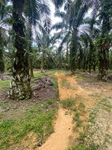 Tanah Perindustrian untuk Dijual di Senai (Johor) - Kelly Wai - Exterior - PropertyGuru.com.my