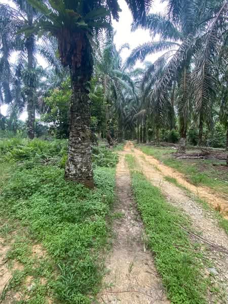 Tanah Perindustrian untuk Dijual di Senai (Johor) - Kelly Wai - Exterior - PropertyGuru.com.my
