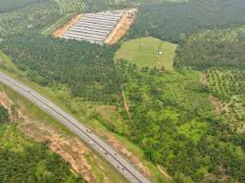 Tanah Pertanian untuk Dijual di Bandar Pontian (Pontian) - Catherine Thung - PropertyGuru.com.my