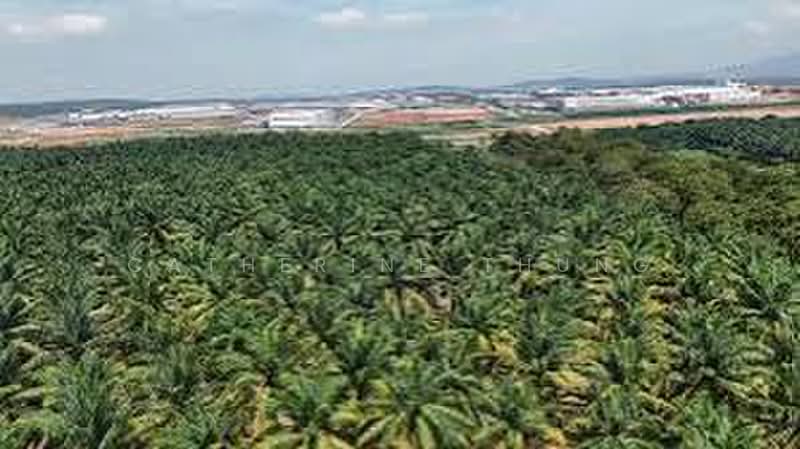Tanah Pertanian untuk Dijual di Bandar Pontian (Pontian) - Catherine Thung - PropertyGuru.com.my