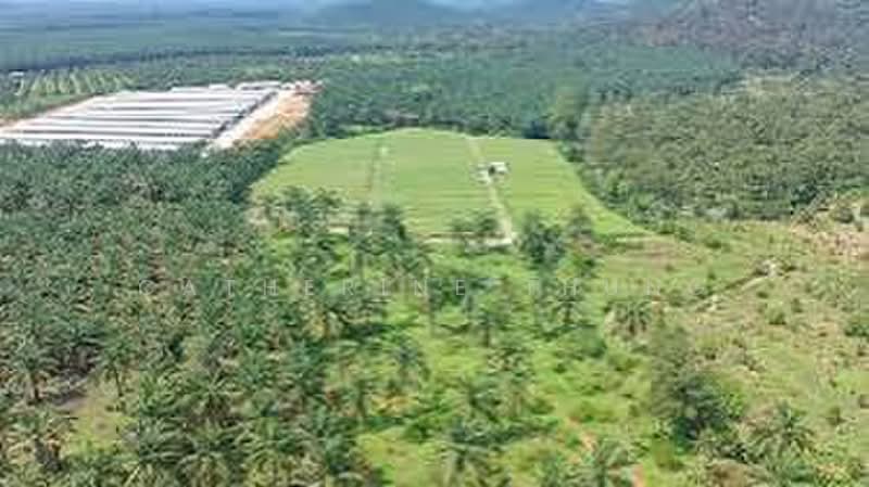 Tanah Pertanian untuk Dijual di Bandar Pontian (Pontian) - Catherine Thung - PropertyGuru.com.my