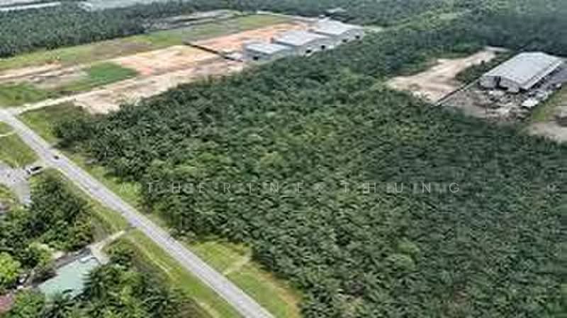 Tanah Pertanian untuk Dijual di Bandar Pontian (Pontian) - Catherine Thung - PropertyGuru.com.my