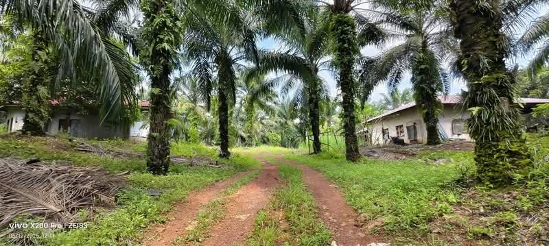 Agricultural Land for Sale in Serting Hulu (Negeri Sembilan) - Salam . - Exterior - PropertyGuru.com.my