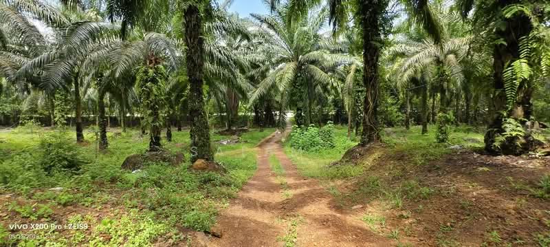 Agricultural Land for Sale in Serting Hulu (Negeri Sembilan) - Salam . - Exterior - PropertyGuru.com.my