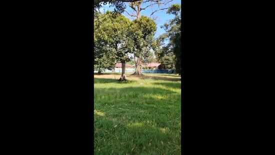 Tanah Pertanian untuk Dijual di Junjong (Kedah) - Teh Guan Fong - PropertyGuru.com.my