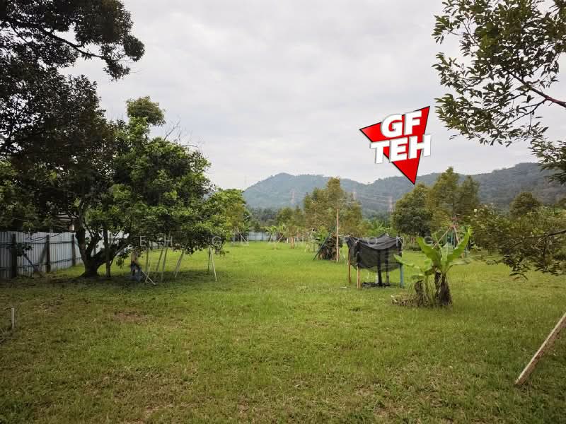 Tanah Pertanian untuk Dijual di Junjong (Kedah) - Teh Guan Fong - Exterior - PropertyGuru.com.my