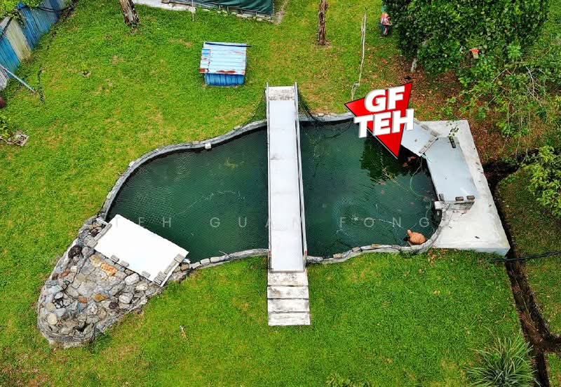 Tanah Pertanian untuk Dijual di Junjong (Kedah) - Teh Guan Fong - Pool - PropertyGuru.com.my