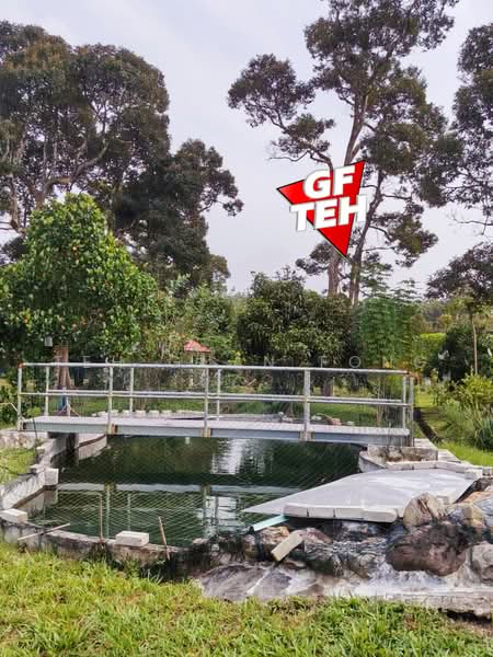 Tanah Pertanian untuk Dijual di Junjong (Kedah) - Teh Guan Fong - Garden - PropertyGuru.com.my