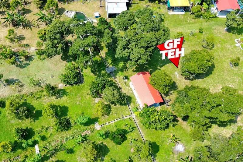 Tanah Pertanian untuk Dijual di Junjong (Kedah) - Teh Guan Fong - Exterior - PropertyGuru.com.my