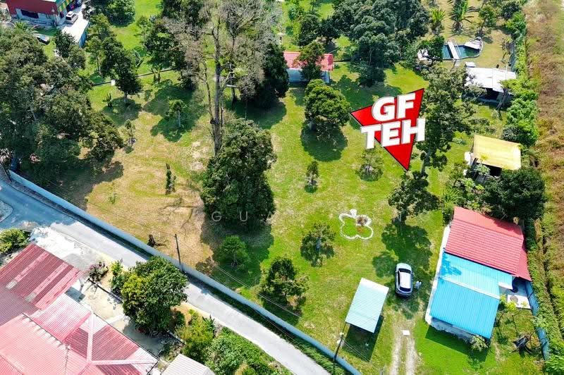 Tanah Pertanian untuk Dijual di Junjong (Kedah) - Teh Guan Fong - Garden - PropertyGuru.com.my