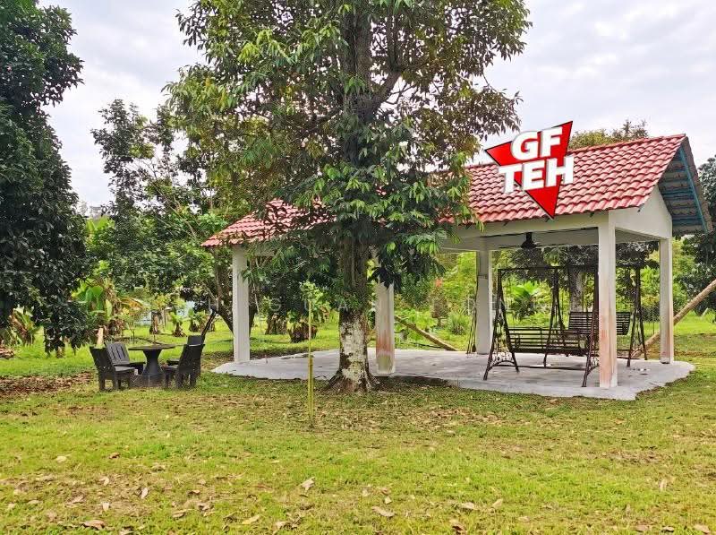 Tanah Pertanian untuk Dijual di Junjong (Kedah) - Teh Guan Fong - Exterior - PropertyGuru.com.my