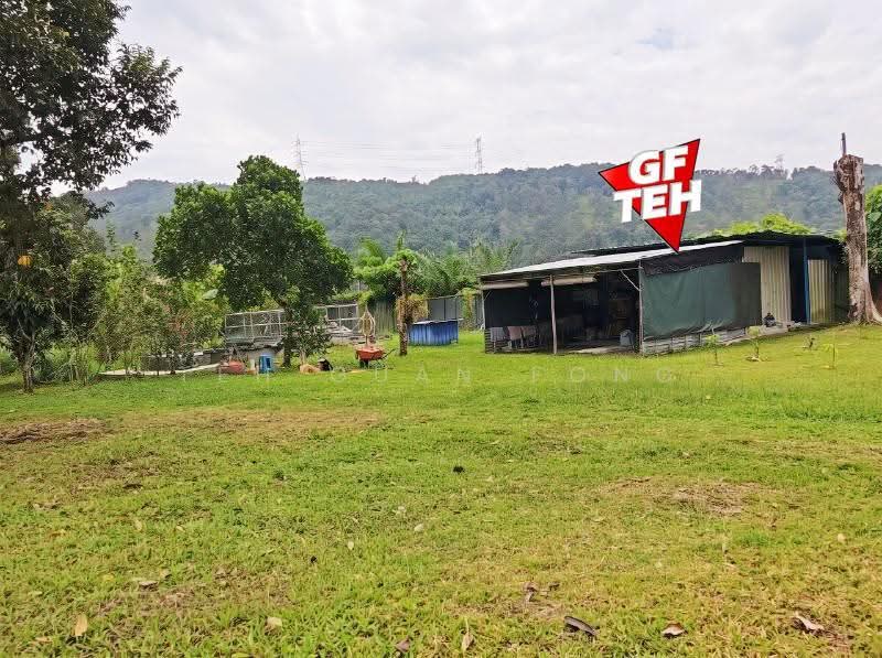 Tanah Pertanian untuk Dijual di Junjong (Kedah) - Teh Guan Fong - Exterior - PropertyGuru.com.my