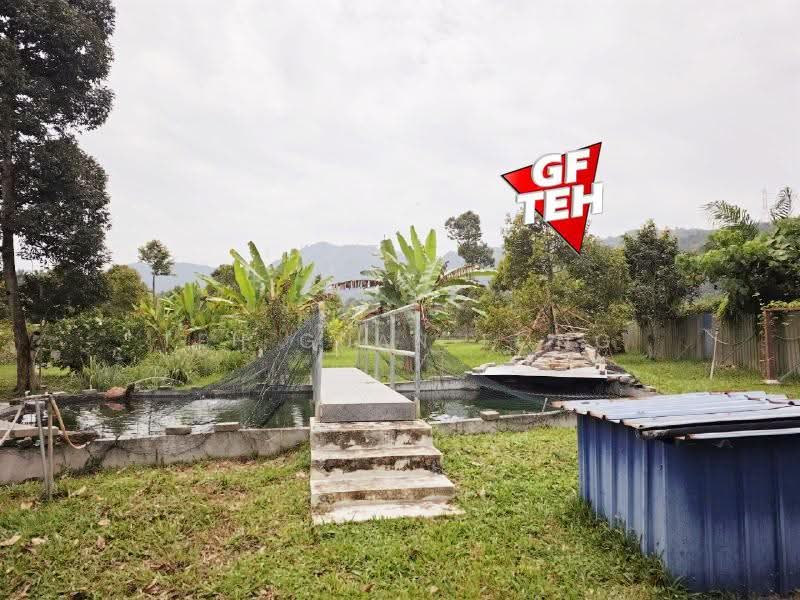 Tanah Pertanian untuk Dijual di Junjong (Kedah) - Teh Guan Fong - Garden - PropertyGuru.com.my
