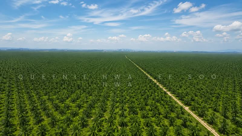 Agricultural Land for Sale in Banting (Selangor) - Queenie Hwa Lee Soo Hwa - Exterior - PropertyGuru.com.my