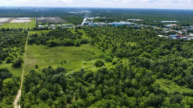 Agricultural Land for Sale in Banting (Selangor) - Queenie Hwa Lee Soo Hwa - Exterior - PropertyGuru.com.my